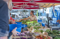 Cap vers une agriculture locale et nourricière