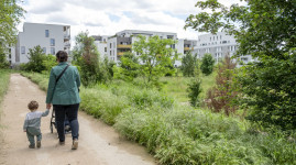 Touche finale pour l'arboretum de Sathonay-Camp