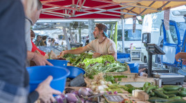 Cap vers une agriculture locale et nourricière