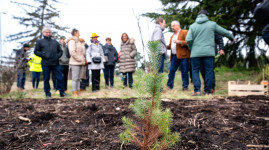 Bientôt une forêt à Chassieu