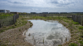 Plaine aux œdicnèmes : la nature à la place du béton