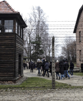 Une journée à Auschwitz pour les collégiens de la Métropole