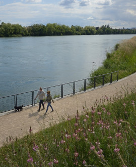 Le canal de Miribel fait peau neuve