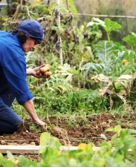 De nouveaux jardins collectifs dans la Métropole de Lyon