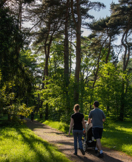 ldaniere_arbres-parilly_1200