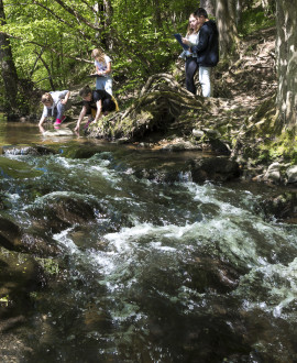 Grand Lyon nature : à vous les balades sur les sentiers de la Métropole !