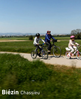 Lyon, Métropole (très) sportive !