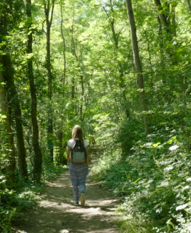 Sentier de l'Yzeron : une balade en forêt dans la Métropole de Lyon