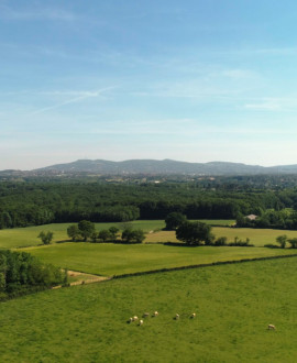 Grand Lyon Nature : découvrez les vallons de l'ouest lyonnais