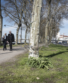 Zéro phyto avenue Leclerc