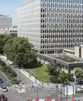 Fin de la deuxième phase d'aménagement de la rue Garibaldi