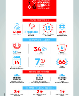 20170808_infographie_bridge
