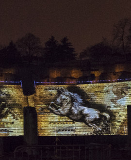 Fête des lumières 2017 : Balāha décroche le trophée France 3