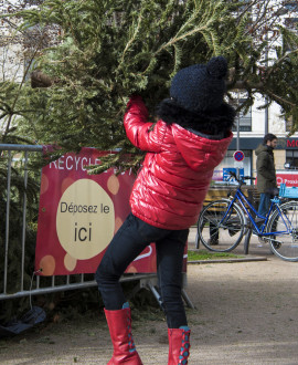 Derniers jours pour recycler votre sapin !