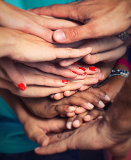 Tous unis tous solidaires : en mars, testez le bénévolat !