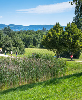 Un été au domaine de Lacroix-Laval