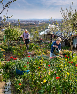 Le printemps prend ses quartiers dans la Métropole