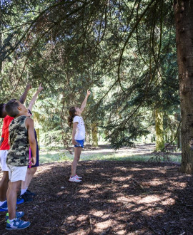 Des vacances sportives pour les 4-18 ans