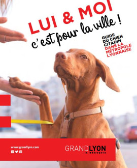 Un kit pour éduquer les chiens citadins