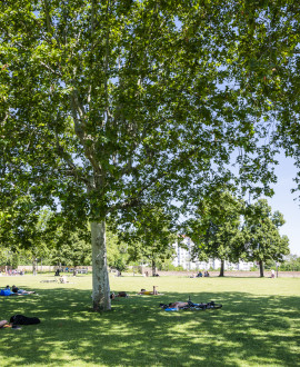 Le parc Blandan va s'agrandir avec la 3e étape du projet