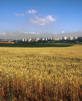 Nature et agriculture à la fête au fort de Feyzin !