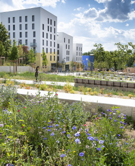 Jardin des belvédères : sortie en famille à la Duchère