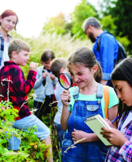 En famille : profitez des animations dans les parcs