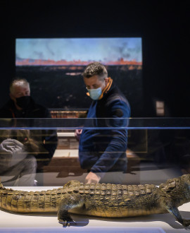 Musée des Confluences : voyage en terre malgache avec Makay