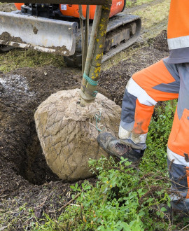 Des forêts urbaines au cœur de la Métropole