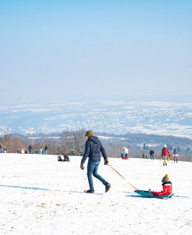 Neige sur la métropole : retour en images sur un week-end blanc