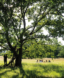 Les parcs de la Métropole préparent le printemps