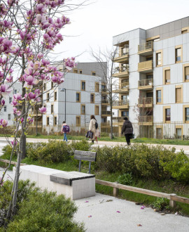 Plus de 100 arbres plantés à Sathonay-Camp