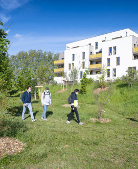 Une forêt urbaine à Sathonay-Camp