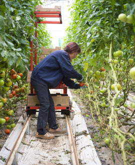 Du bio et du local dans nos assiettes : 3 mesures-phares pour l'agriculture