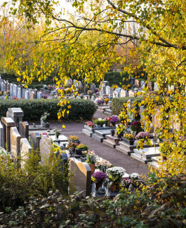 Le cimetière de Bron va être agrandi en 2022