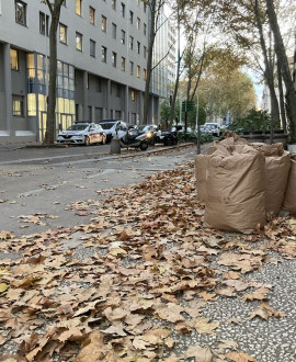 Les feuilles mortes : une ressource bien utile dans vos jardins