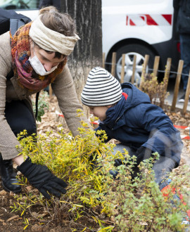 À Lyon, les arbres de pluie vont faciliter l'infiltration de l'eau dans le sol