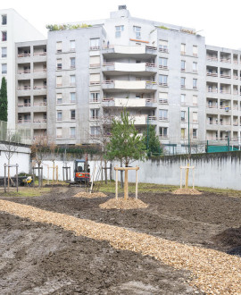 La Métropole va aider à planter des arbres dans les copropriétés