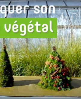 Tuto : fabriquer son sapin de Noël végétal !