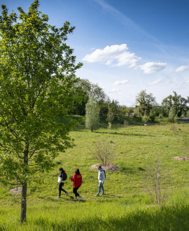 'À vos arbres, prêts, plantez' : venez planter 200 mètres de haies pour la biodiversité !