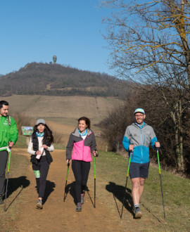 100km à pied dans la Métropole : un défi à relever pour la bonne cause !