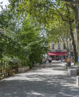 Faire baisser la température en ville en multipliant le nombre d’arbres