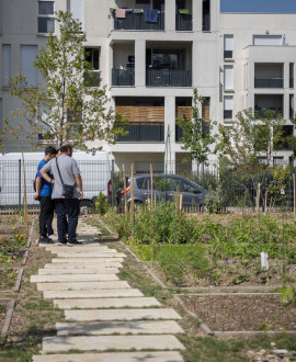 Îlot Nature à Bron : des jardins partagés rassemblent les habitants