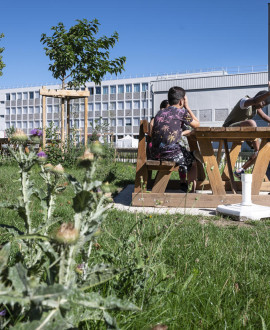 Collèges : bientôt, plus de verdure dans les cours de récré