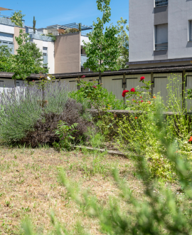 Le soutien à la plantation d'arbres renforcé dans les espaces privés