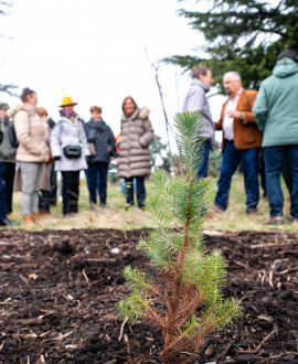 Bientôt une forêt à Chassieu