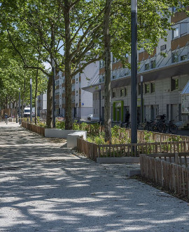 Lyon Mermoz, rénovation au sud