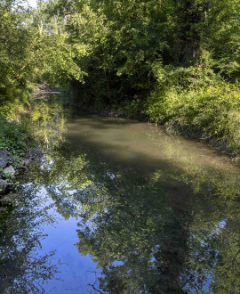 Une partie du Rhône reprend vie à Jonage