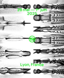 Nuits Sonores 2025 : cinq jours pour célébrer l'éphémère