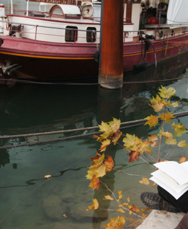 L'automne au Grand Lyon